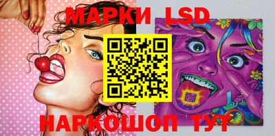 стафф Гатчина