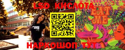 стафф Гатчина