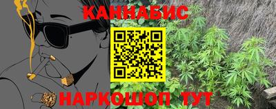 тгк Гай