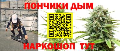 тгк Гай