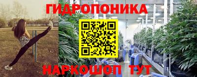 тгк Гай