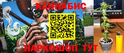 стафф Гатчина