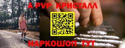 стафф Гатчина