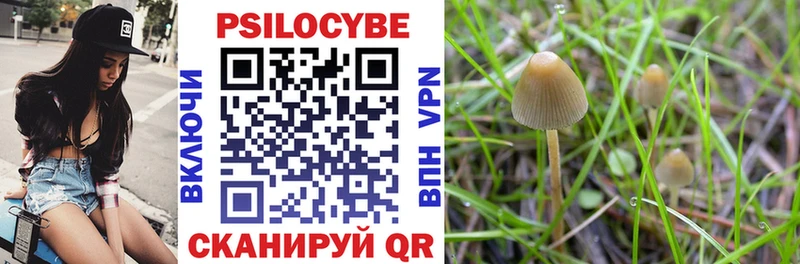 Галлюциногенные грибы ЛСД Калуга