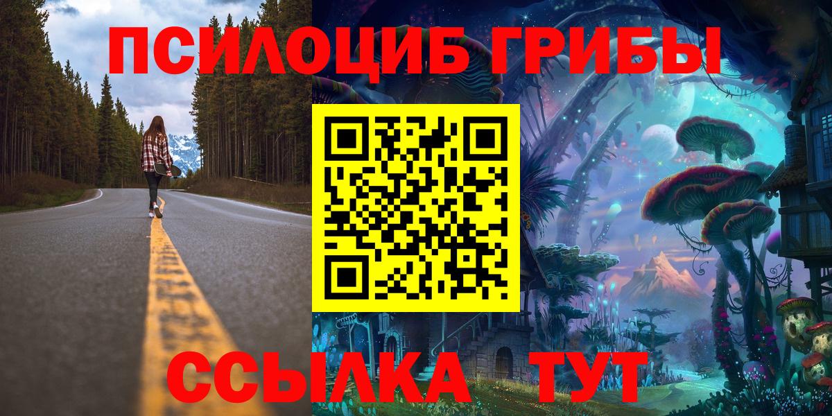 Псилоцибиновые грибы Psilocybine cubensis  Вход с VPN  Калуга  Галлюциногенные грибы Cubensis 