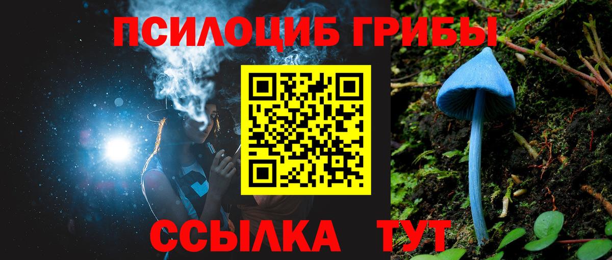 Псилоцибиновые грибы Cubensis Калуга