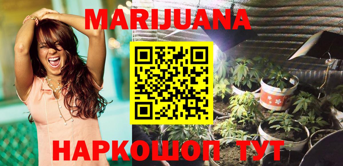 Каннабис OG Kush Калуга